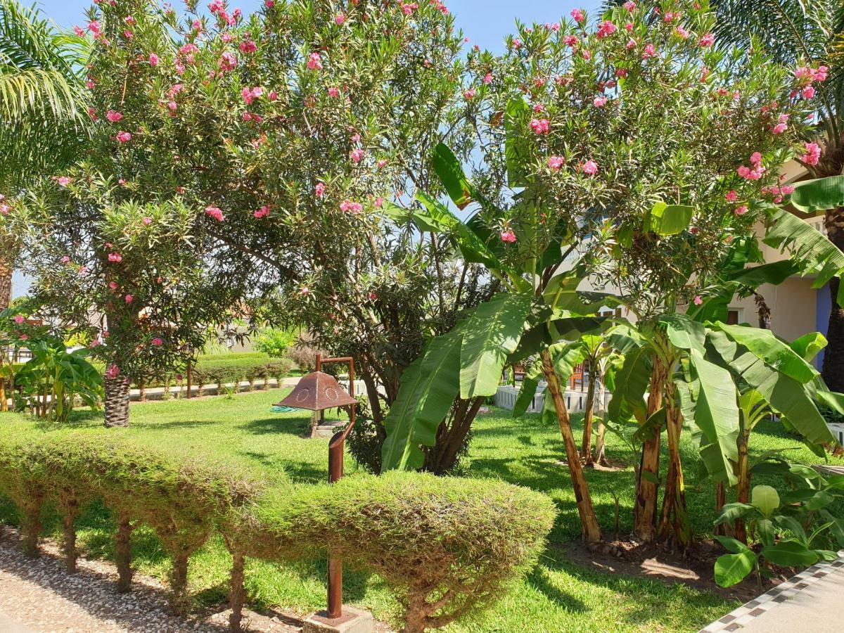 Djeliba Resort 萨拉昆达 外观 照片